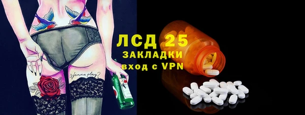 прущие грибы Апатиты